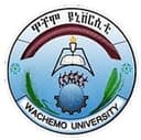 Wachemo University