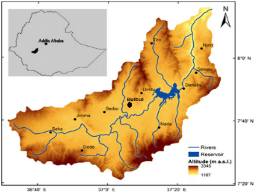 Bulbula Restoration Site