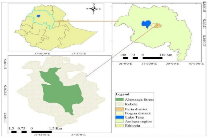 Haykua watershed